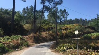 Land for sale in Ponte de Lima, Portugal — €25,000