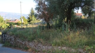 Land for sale in Ponte de Lima, Portugal — €55,000