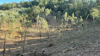 Land for sale in Ponte de Lima, Portugal — €95,000