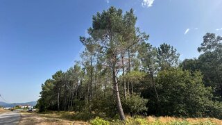Land for sale in Paredes de Coura, Portugal — €12,000