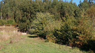 Land for sale in Paredes de Coura, Portugal — €32,000
