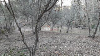 Terreno em Marvão