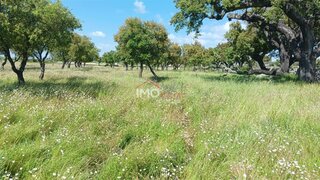 Land for sale in Marvão, Portugal — €110,000