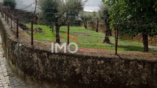 Terreno em Monforte