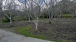 Terreno de 4500 m² em Portalegre