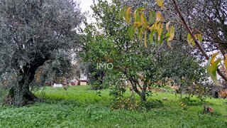 Terreno de 500 m² em Portalegre