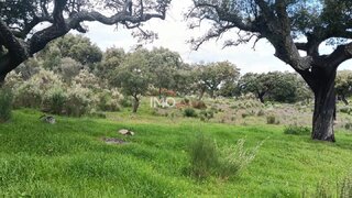 Terreno em Marvão