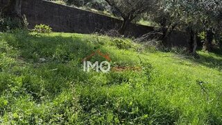 Terreno em Portalegre