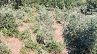 Land for sale in Marvão, Portugal — €20,000