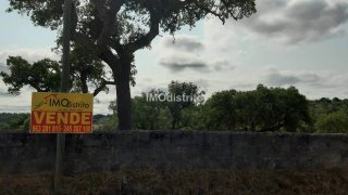 Land for sale in Nisa, Portugal — €15,000