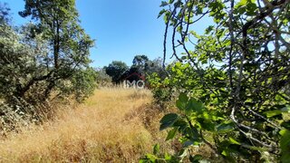 Terreno em Nisa