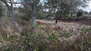 Terreno em Marvão