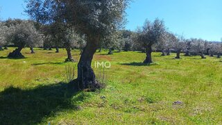 Terreno em Marvão