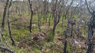 Terreno em Castelo de Vide