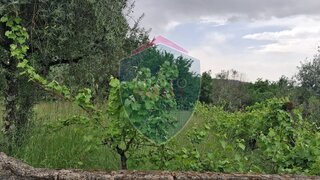 Land for sale in Viseu, Portugal — €62,000