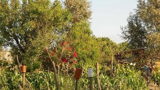 Land for sale in Nelas, Portugal — €112,500