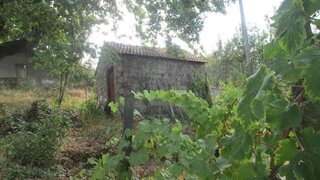 Land for sale in Viseu, Portugal — €85,000