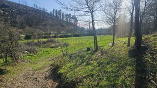 Land for sale in Castro Daire, Portugal — €30,000