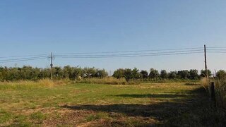 Land for sale in Nelas, Portugal — €25,000