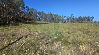 Land for sale in Castro Daire, Portugal — €45,000