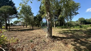 Land for sale in Carregal do Sal, Portugal — €685,000