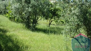 Terreno de 3938 m² em Viseu
