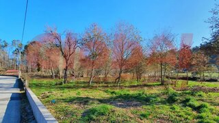 Land for sale in Viseu, Portugal — €91,000