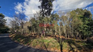 Terreno de 6286 m² em Viseu