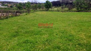 Land for sale in Sernancelhe, Portugal — €16,000