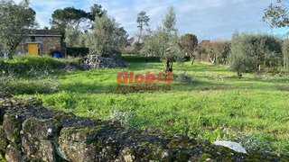 Terreno para venda em Mangualde, Portugal — 45 000 €