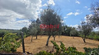 Terreno de 658 m² em Viseu