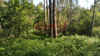 Terreno de 1610 m² em Viseu