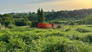 Terreno de 850 m² em Viseu
