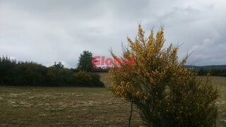 Land for sale in Gouveia, Portugal — €18,500