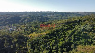 Terreno para venda em Nelas, Portugal — 144 999 €