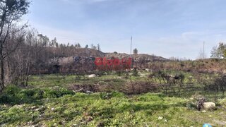 Land for sale in Mangualde, Portugal — €72,500