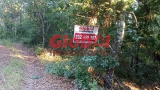 Land for sale in Viseu, Portugal — €45,000