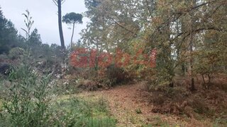 Land for sale in Viseu, Portugal — €35,000