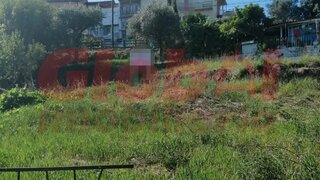 Land for sale in Viseu, Portugal — €86,500