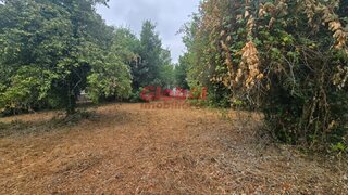 Terreno de 5796 m² em Viseu