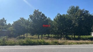 Terreno de 4985 m² em Viseu