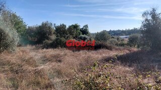 Land for sale in Nelas, Portugal — €18,000