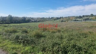 Terreno de 12 000 m² em Viseu