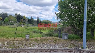 Land for sale in Viseu, Portugal — €310,000