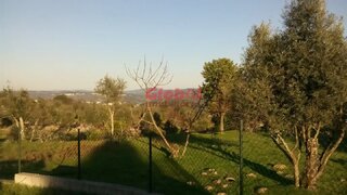 Terreno em Viseu · 1015 m² · 99 500 €