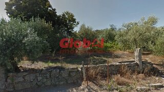 Terreno de 618 m² em Viseu