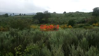 Terreno em Fornos de Algodres