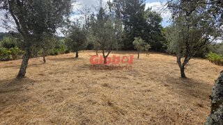 Terreno de 735 m² em Viseu