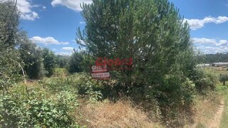 Land for sale in Nelas, Portugal — €19,000