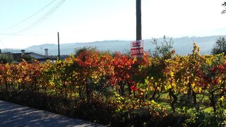Terreno em Viseu · 6275 m² · 160 000 €